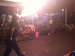 IMG_1447 IMG_1447